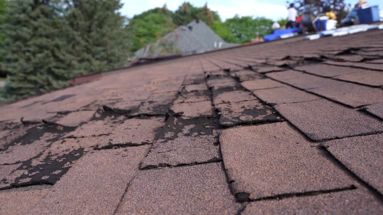 Roof Coating Services in Lawnton, PA