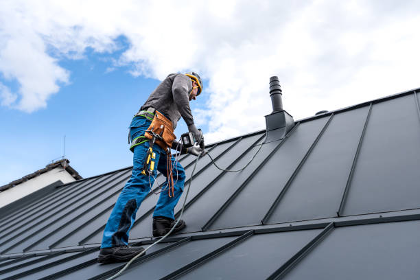 Best Sheet Metal Roofing  in Lawnton, PA